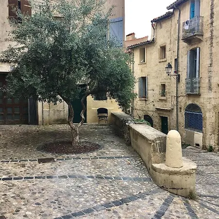 דירה L'olivier Loft Hh - Netflix & Prime - Centre Corum מונפלייה